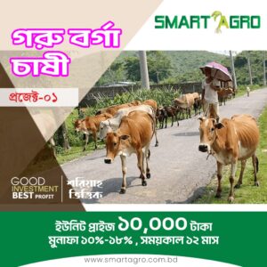 গরু বর্গা চাষী প্রকল্প