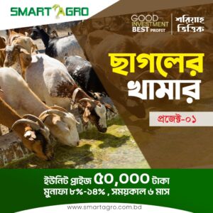 ছাগলের খামার বিনিয়োগ প্রকল্প