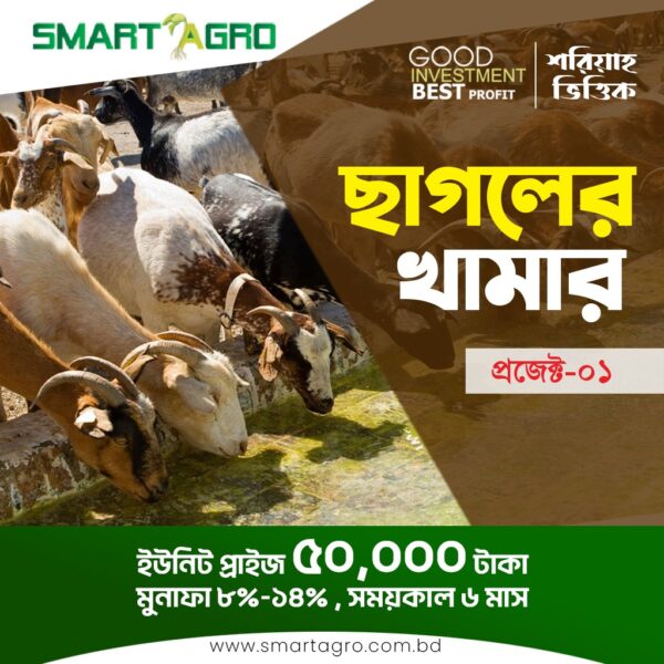 ছাগলের খামার বিনিয়োগ প্রকল্প